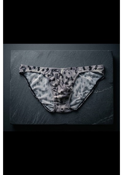 Darkzone Erkek Leopar Desenli Transparan Tül Slip Külot Çok Renkli