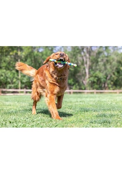 Chuckit Eco Fetch Stick Doğa Dostu Köpek Oyuncağı