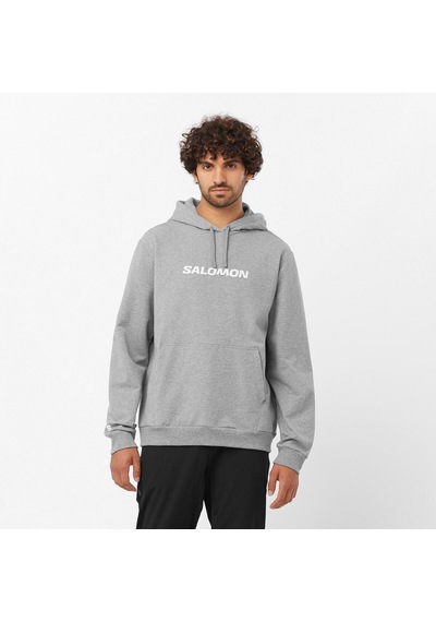 Salomon Sal Logo Perf Hoodıe M 1009 Gri