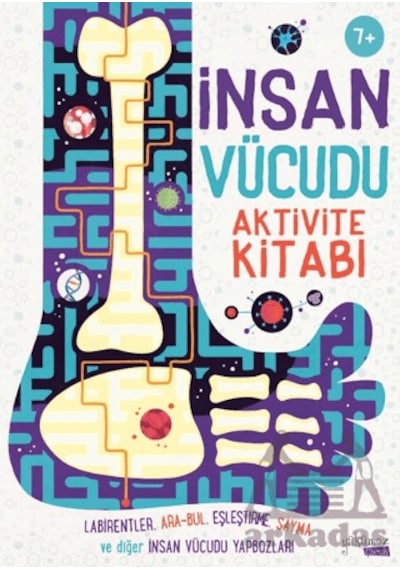 İnsan Vücudu Aktivite Kitabı Yakamoz Yayınevi