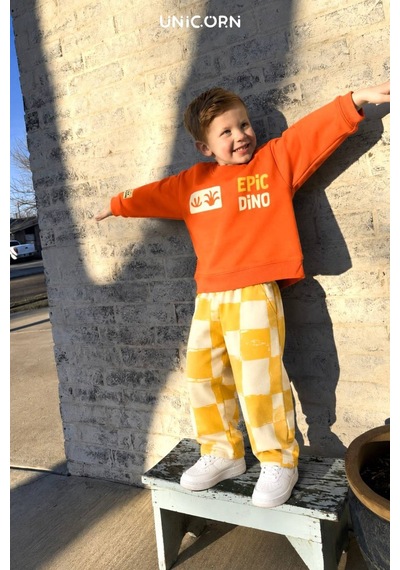 Erkek Çocuk Dinozor Temalı Sırt Baskılı Sweatshirt Ve Pantolon Takım Çok Renkli
