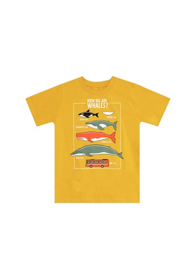 Denokids Big Whales Erkek Çocuk Yazlık T-shirt Kapri Takım