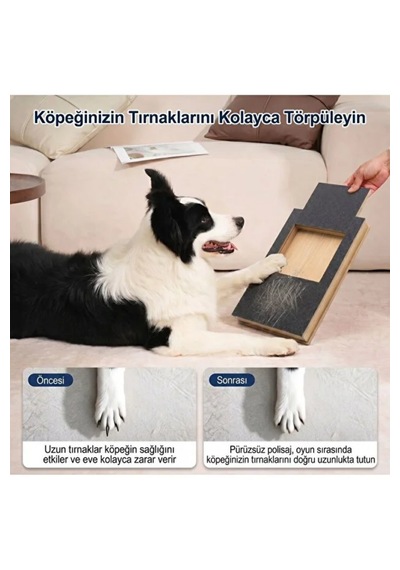 Reyo Köpekür Köpekler İçin Tırnak Törpüleyen Tırmalama Ve Eğitim Tahtası
