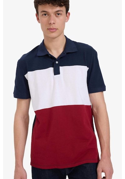 DeFacto %100 Pamuk Regular Fit Polo Yaka Bloklu Kısa Kollu Tişört D7940AX25SPNV135
