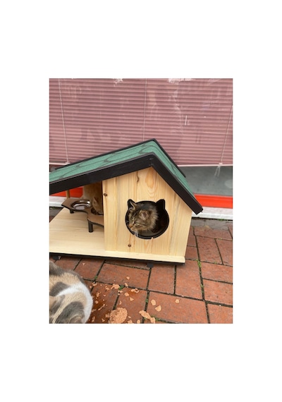 Kedi Yuvası Kedi Evi Özel Üretim İç Ve Dış Mekan Tırmalama Ve Mama Kablı 74x45 Cm