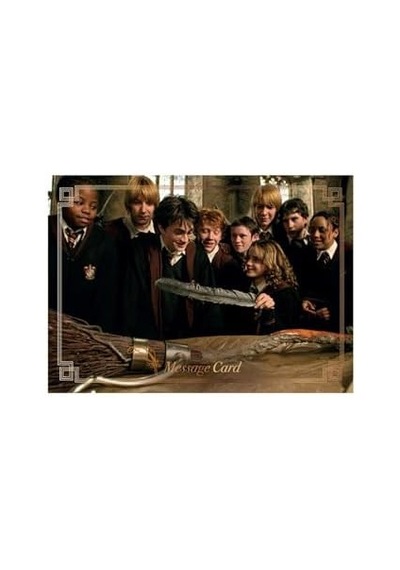Panini Harry Potter Hogwarts'ta 1 Yıl Sticker Seti 50'li Paket 200 Sticker + 50 Kart Koleksiyonculara Özel Oyuncak "
