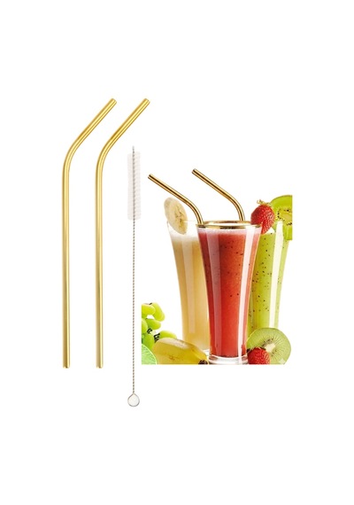Mucit Home Gold 2 Li Paslanmaz Çelik Pipet + Temizleme Fırçası