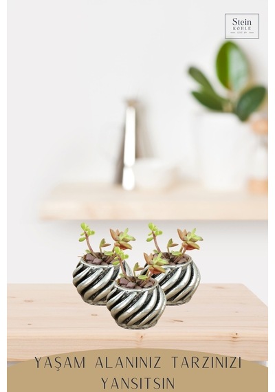 Dekoratif Saksı Minik Kaktüs Saksısı 1 Adet Kalın Çizgili Spiral Model - Gümüş Eskitme