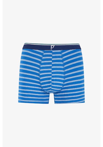 Penti Erkek Renkli Blue Check Çoklu Boxer