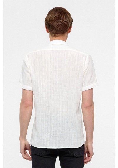 Süvari Ekru Slim Fit Düz Apaş Yaka Gömlek