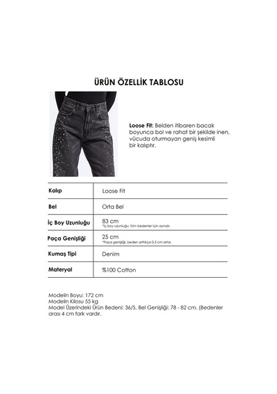 Kadın T-2w6-1 Loose Fit Parlak Taş Özel Tasarım Denim Jean Koyu Füme