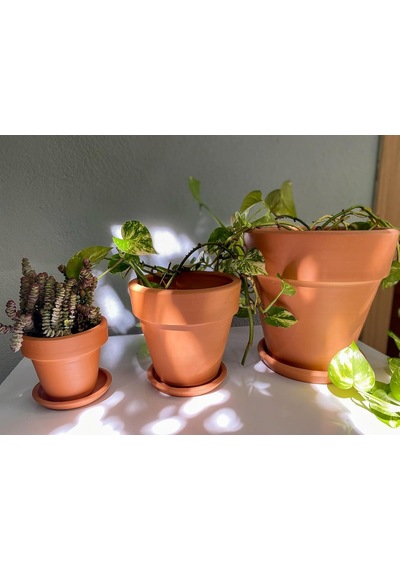 Terracotta Konik Saksı+tabak Bohem Beyaz Büyük