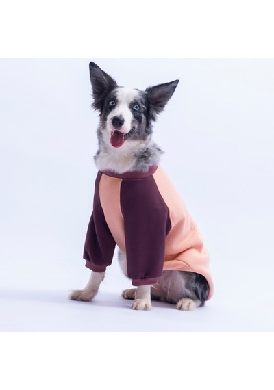 Somon Boston Pawstar Sweat Orta-büyük Irk Köpek Sweatshirt Köpek Sweat Köpek Kıyafeti