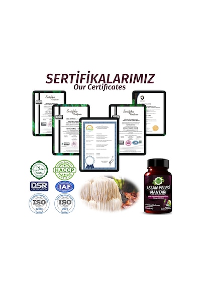 Gökçek Şifa Aslan Yelesi 1000 MG (Lion's Mane Mushrooms Capsule) 60 Kapsül