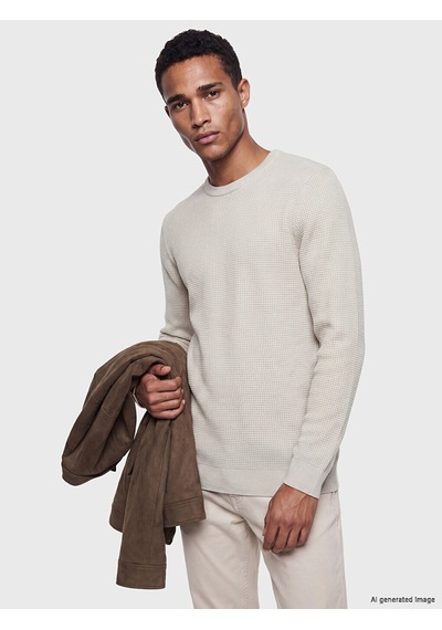 Lcw Vision Bej Regular Fit Bisiklet Yaka Erkek Triko Kazak