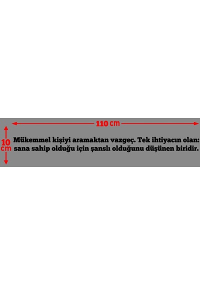 Oto Cam Yazı Sözleri Ticari-servis-dolmuş-panelvan Uzun Sticker Model 13