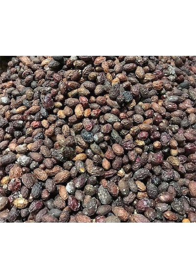 Derya Eren Kızılcık Kurusu Cornus Mas 100 G