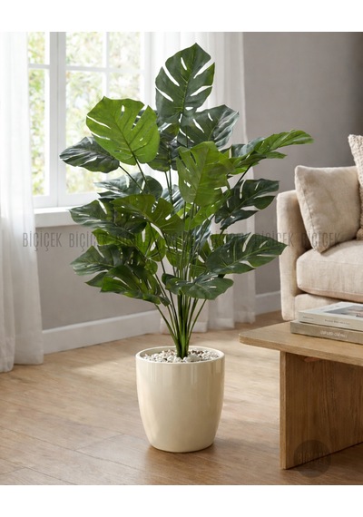 Biçiçek Yapay Monstera Deve Tabanı Yakut Saksıda Bej - Beyaz