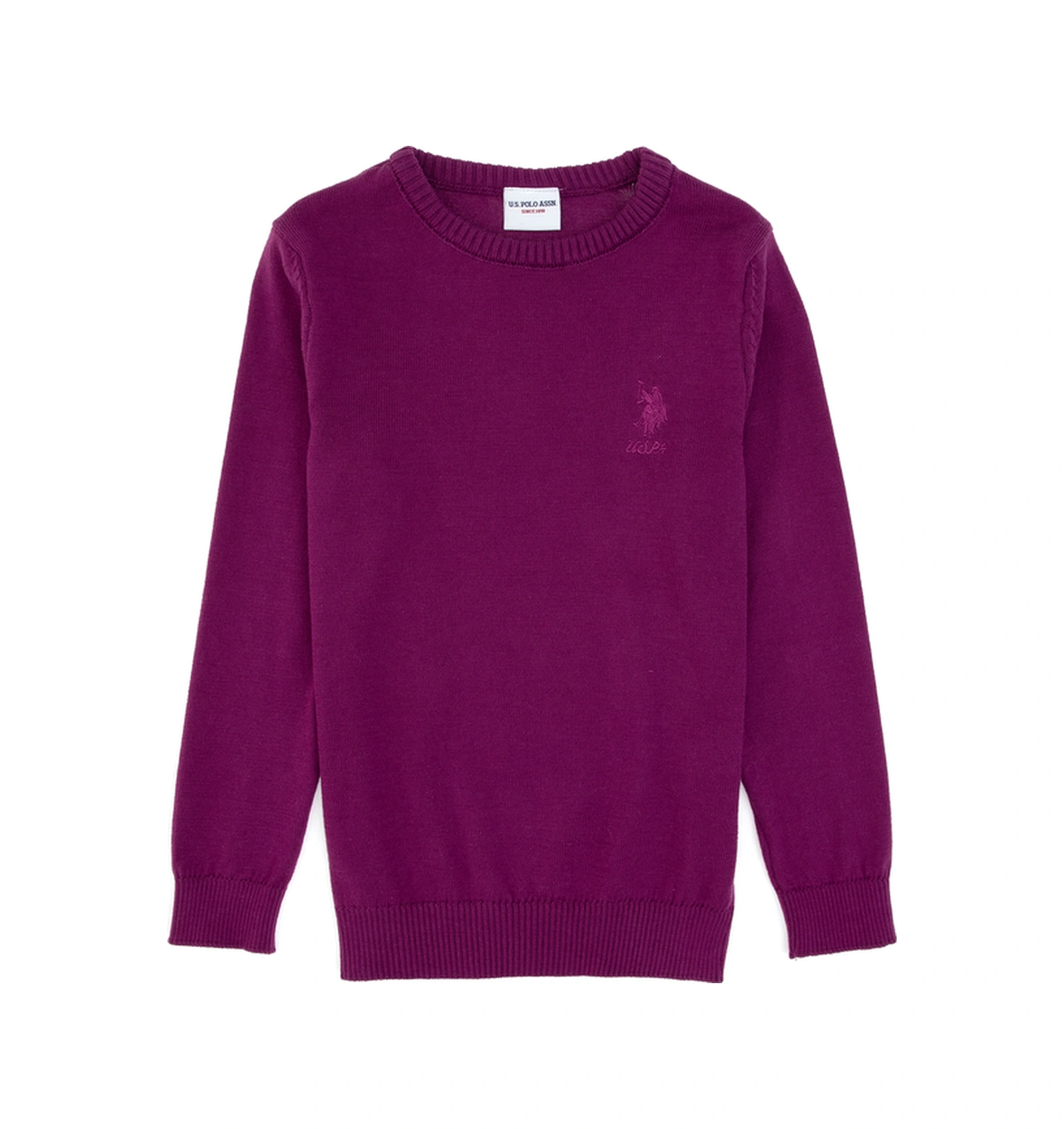 U.S. Polo Assn. Kız Çocuk Menekşe Bisiklet Yaka Basic Kazak 50313081-VR037