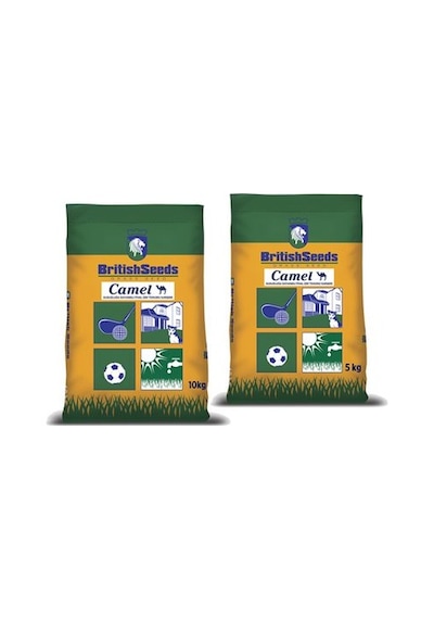 Camel Çim Tohumu Kurak Bölgeler İçin Çim Tohumu Karışımı 5 KG