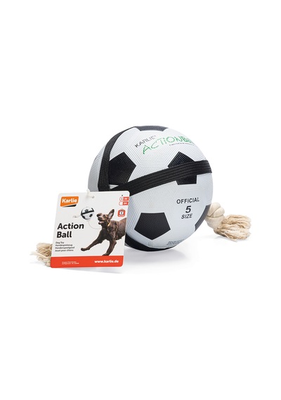 Karlıe Futbol Topu 22
