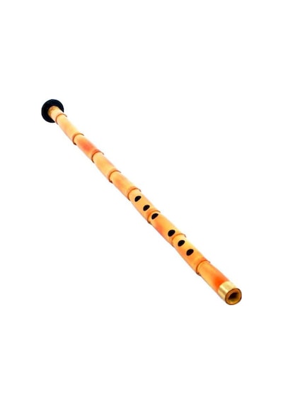 Kamış Ney Donizetti Kılıf