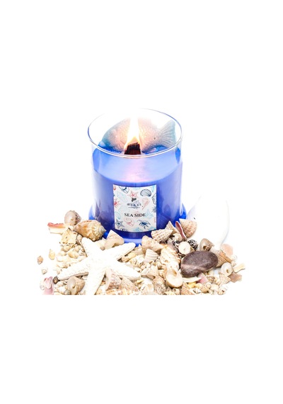 Büyük Üfleme Cam Balık Dekorlu Saks Mavisi Ocean Breeze Kokulu Vegan Mum 380 Gr