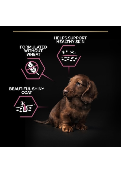 Pro Plan Small & Mini Adult Somonlu Köpek Maması 3 Kg 100 G