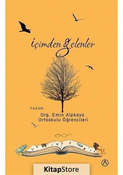 İçimden Gelenler- Ares Kitap