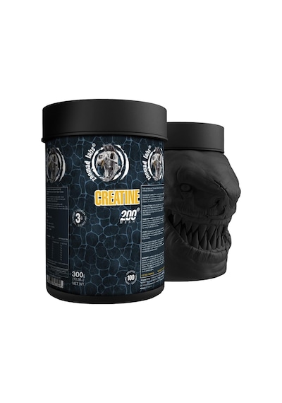 Zoomad Labs Creatine Monohydrate 300 G