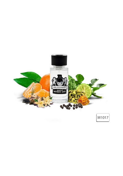 Lion Francesco Scent Of Mexico City Erkek Parfüm EDP 50 ML