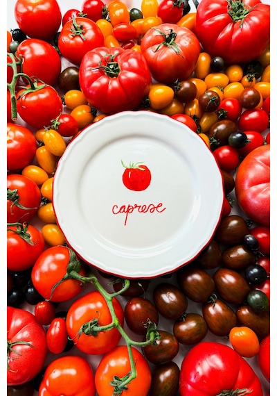 Rakle x Bengi Kurtcebe Pomodoro Stoneware 4'lü Meze Tabağı Seti 21 cm