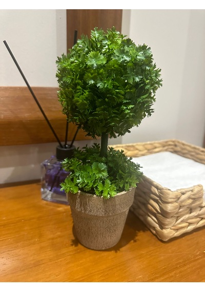 Ev Ve Ofis Hediyesi Dekoratif Yapay Şimşir Ağacı - Saksılı 10x24 Cm Yeşil