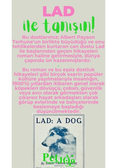 Petjoo 23.Lad Yeşil-Pembe Qr'lı Köpek Künyesi