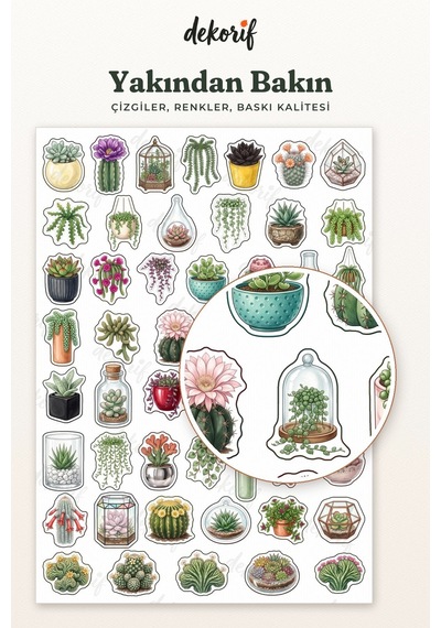 Kaktüs Ve Sukulent Sticker Seti 100 Adet - Saksı Bitki Çöl Çiçeği Botanik Ajanda Journal Çıkartma Çok Renkli