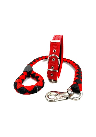 Orta Irk Köpek Gezdirme Ve Boyun Tasması Seti