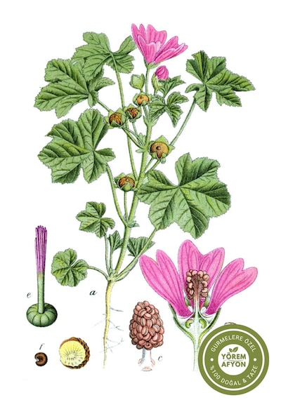 Yörem Afyon Aydın Yöresinden Kurutucu Ebegümeci Çiçek, Irbik, Kazankarası Malva Sylvestris 60gr.