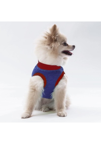 Pawstar Lacivert Summer Time Kedi Köpek Tişörtü Kıyafeti