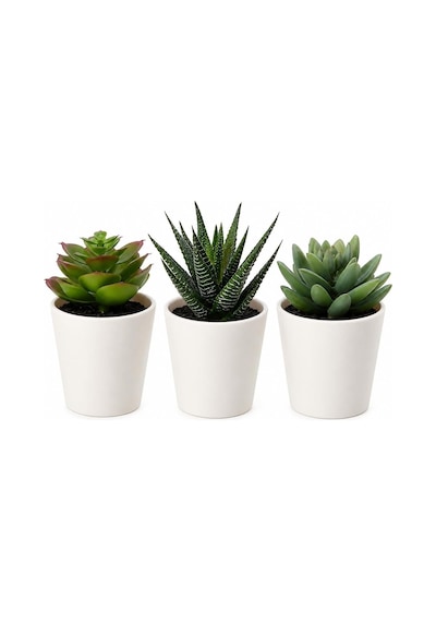 Ikea Fejka Yapay Saksı Bitkisi Saksılı İç Mekan Dış Mekan Etli / 3'lü Paket Boyutu 2 ¼ " 3'lü Paket 203.953.31 Çok Renkli