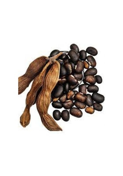 100 Adet Tohum Nadir Olive Bean Sırık Fasülye Tohumu Saksı Toprak