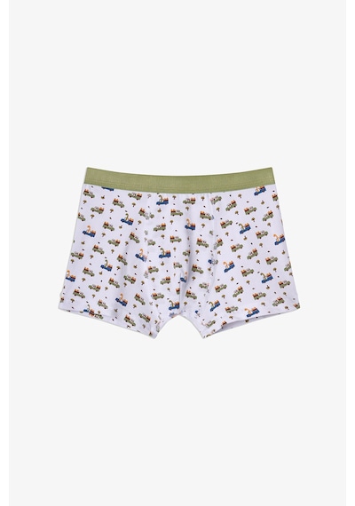 Penti Haki Erkek Çocuk Dino in The Field 3'lü Boxer