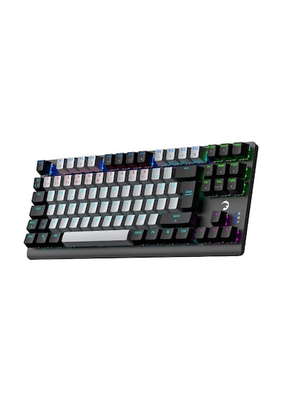 Gamepower Eva 3 60M Mekanik Blue Switch Usb Kablolu Oyuncu Klavye