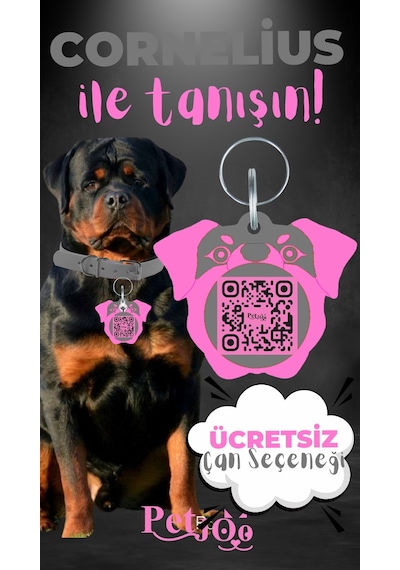 Petjoo 20.Cornelius Pembe-Gri Qr'lı Köpek Künyesi