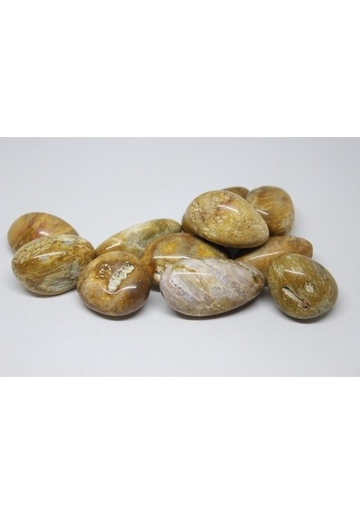 Tibet Akik Taşı ( 10-19 Gram)