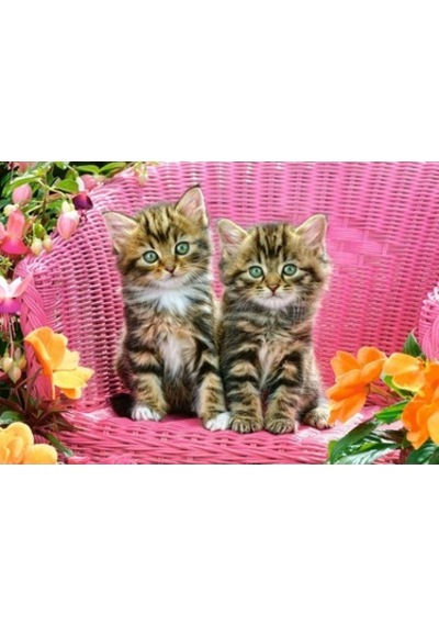 Castorland 1000 Parça Puzzle Kittens On Garden Chair