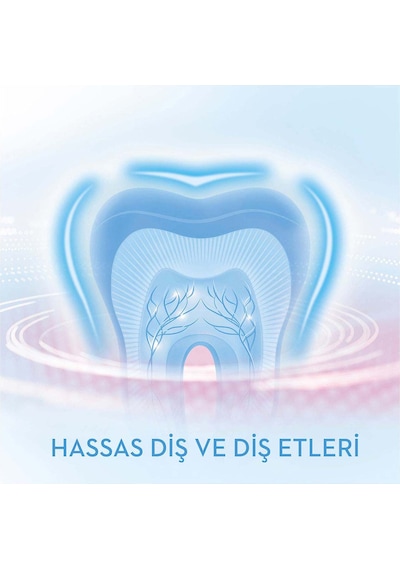 Oral-B Gumcare 3 Smart Coaching App Elektrikli Diş Fırçası