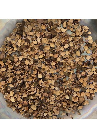 Sanita Mahlep Kabuğu 500 G