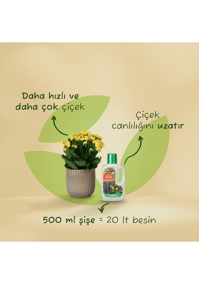 Genta Çiçekli Bitkiler İçin Sıvı Besin Diğer