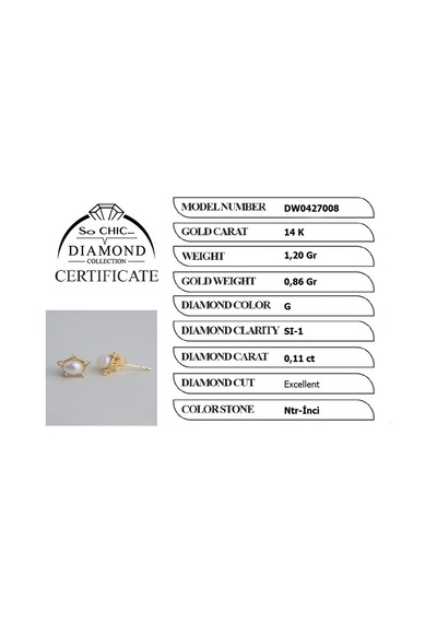 Diamond Collection 14 K Sarı Altın 0,11 Karat Pırlanta Doğal İnci Küpe
