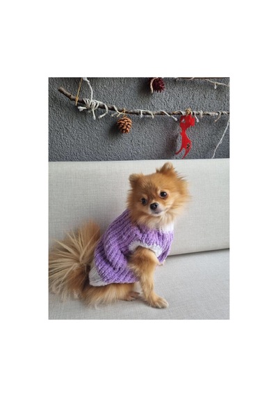 Lila Renk El Örgüsü Kadife Kedi Köpek Kıyafeti Köpek Giysisi Sweatshirt Kazak Toppo11